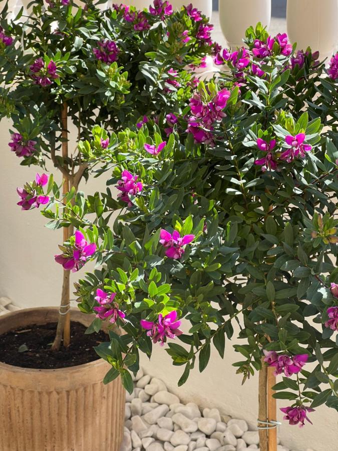Fresh Apartment, 2 Bedroom, 2 Bathroom, 2 Lovely Poolareas لوس الكاثاريس المظهر الخارجي الصورة